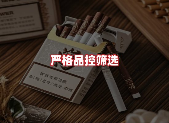 专业团队